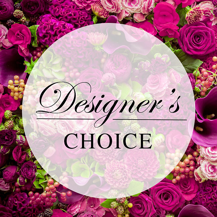 Designer\'s Choice Starting At
