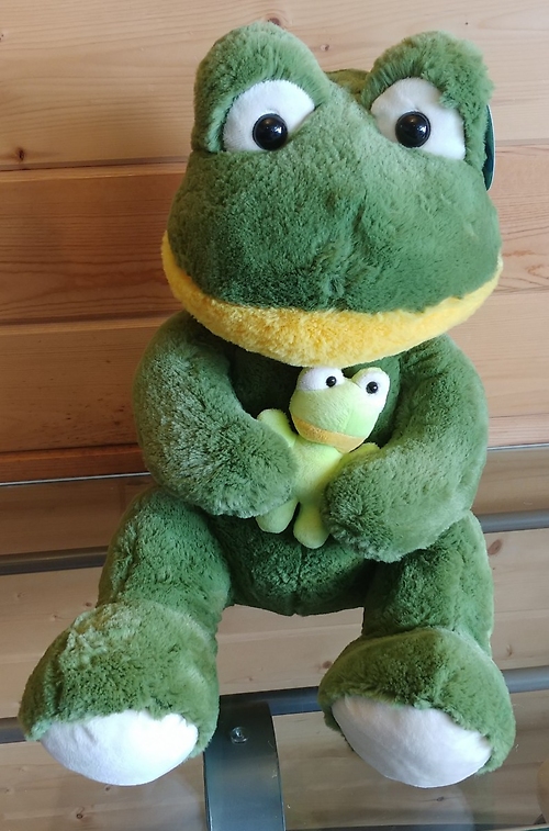 Frog With Baby