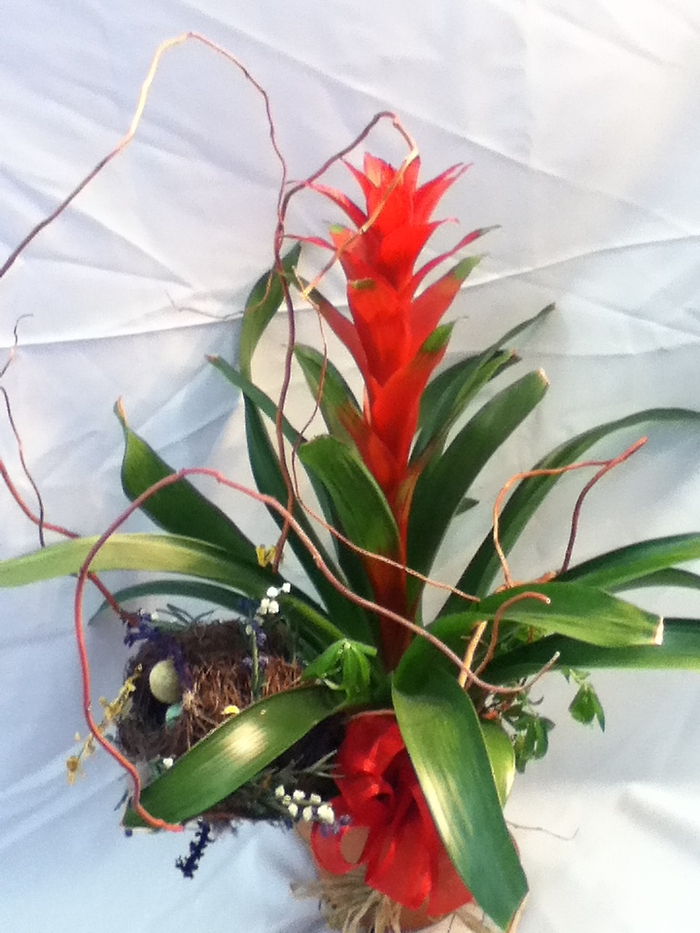 Bromeliad Tower