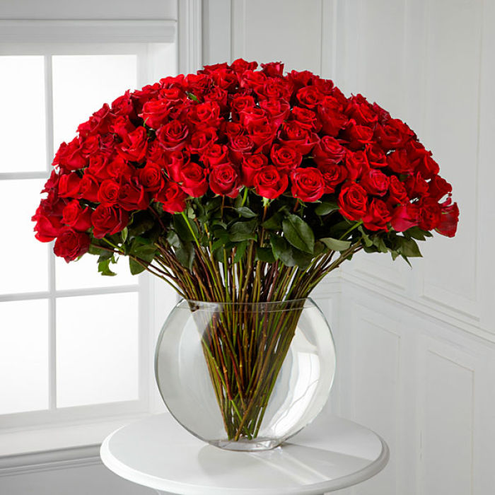Breathless  Rose Bouquet 24-inch Premium Long-Stemmed Rose